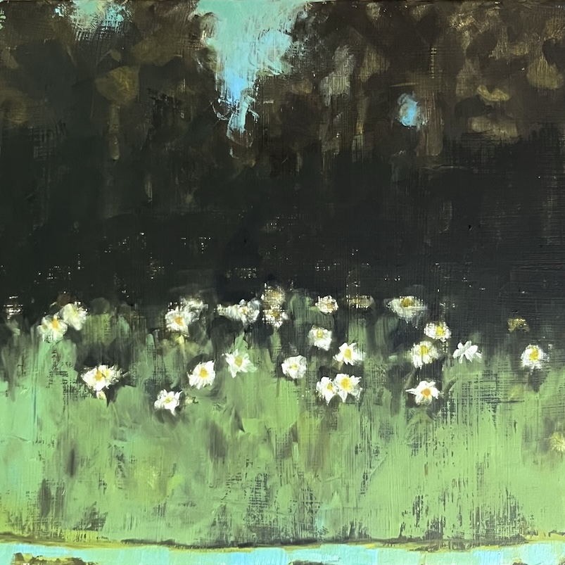 Daisies at the edge of Forest